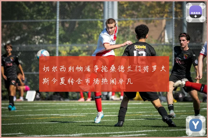 切尔西利物浦争抢桑德兰门将罗夫斯今夏转会市场热闹非凡